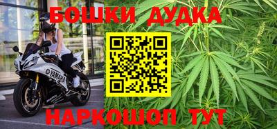 гашик Бердск