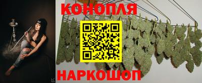 гашик Бердск