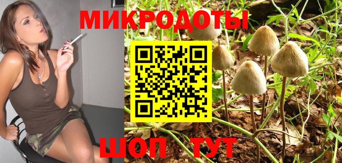 Галлюциногенные грибы прущие грибы  наркошоп  Вход с VPN  Артём  Галлюциногенные грибы GOLDEN TEACHER 